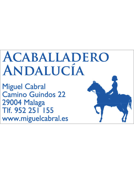 TRODAT 4928 SELLO AUTOMATICO 60X33MM