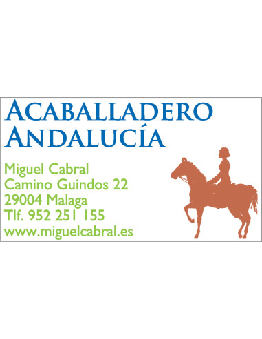 TRODAT 4928 SELLO AUTOMATICO 60X33MM