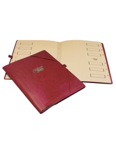 CARPETA CLASIFICADOR CARTON...