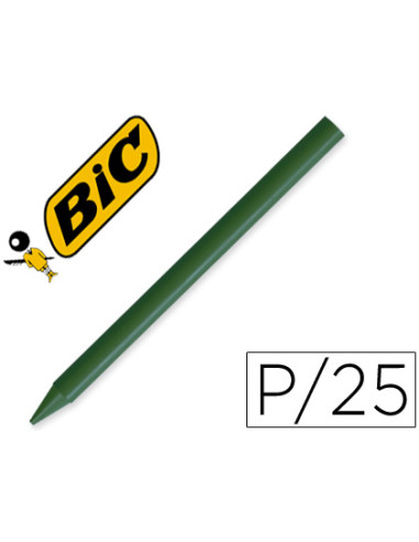 LAPICES PLASTIDECOR UNICOLOR VERDE...