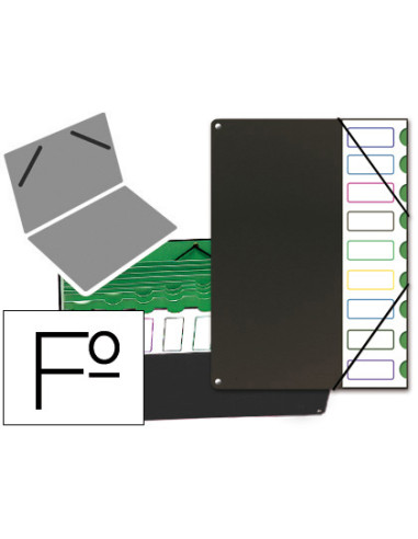 CARPETA CLASIFICADOR TAPA DE PLASTICO...
