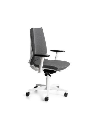 SILLA PROFESIONAL  922W-1  CARCASA...