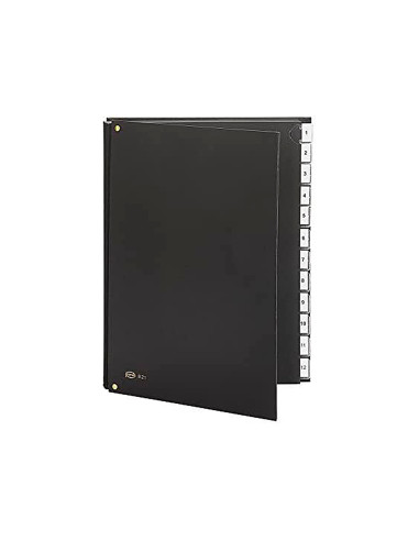 CARPETA CLASIFICADORA FUELLE PARDO...