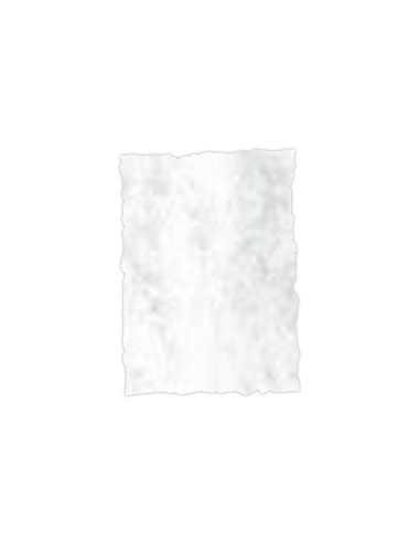 PAPEL PERGAMINO DIN A4 TROQUELADO 200...